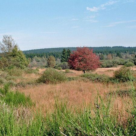 Maison Riviere モンシャウ エクステリア 写真